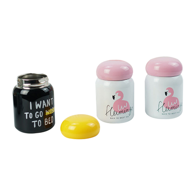 Cute Stainless Steel Insulated Funky Small Function Thermos Vacuum Flask